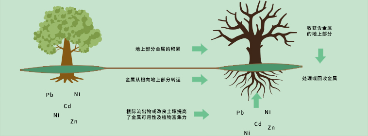 土壤修復及環境治理